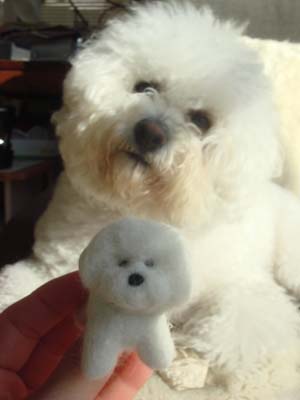 ���R�t�B�[�k�Y