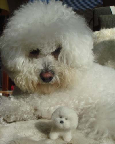 ���R�t�B�[�k�Y