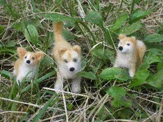 �����������Ƃ��F����