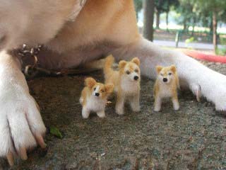 �����������Ƃ��F����